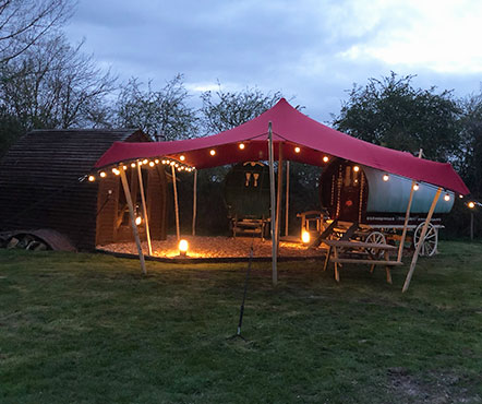 Barn Owl Camp at Great Farm