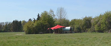 Barn Owl Camp