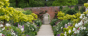 Local National Trust Gems Including Buscot House